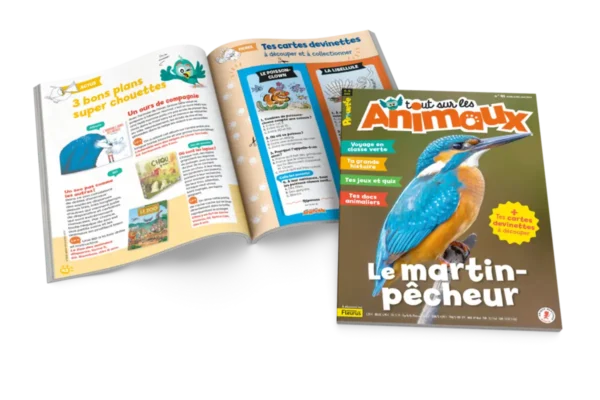 Magazine Pirouette Tout sur les animaux - Fleurus Presse - 2