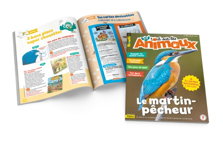 Magazine Pirouette Tout sur les animaux - Fleurus Presse - 2