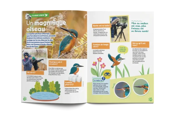 Magazine Pirouette Tout sur les animaux - Fleurus Presse - 4