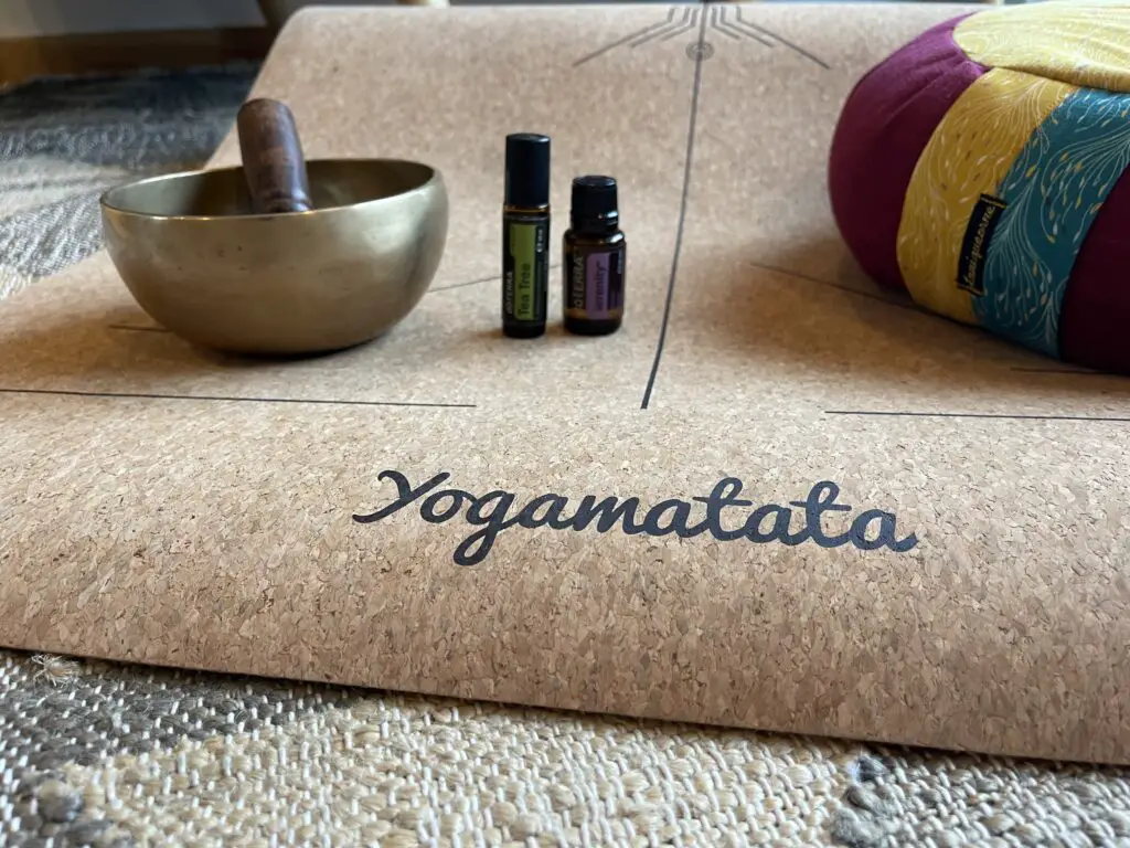 Yogamatata photo4