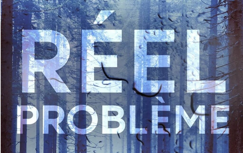 Réel Problème - eBook, Livre