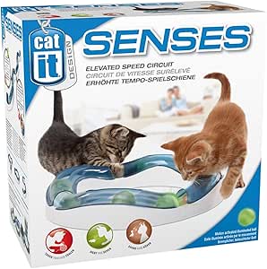 Circuit avec balle pour chat Meilleure idée cadeau jeux pour chat