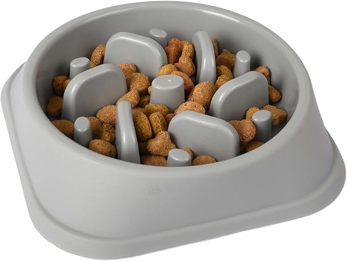 Gamelle anti glouton pour chat et chien Meilleure idée cadeau gamelle anti glouton animaux