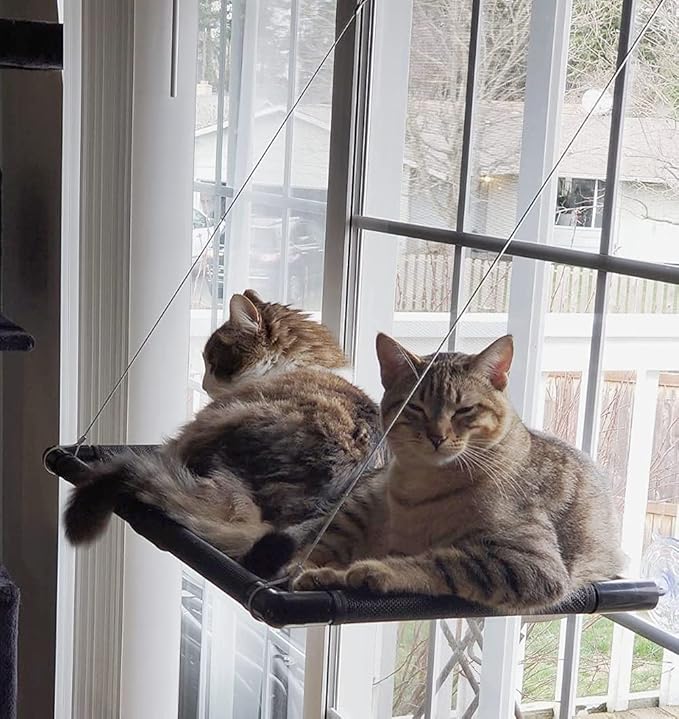 Hamac chat fenêtre avec ventouse Meilleure Idée Cadeau hamac pour chat