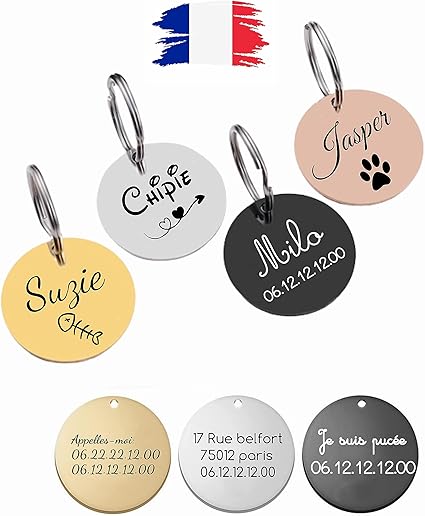 Médaillon gravé chat et chien personnalisable Meilleure idée cadeau médaille pour nom animaux
