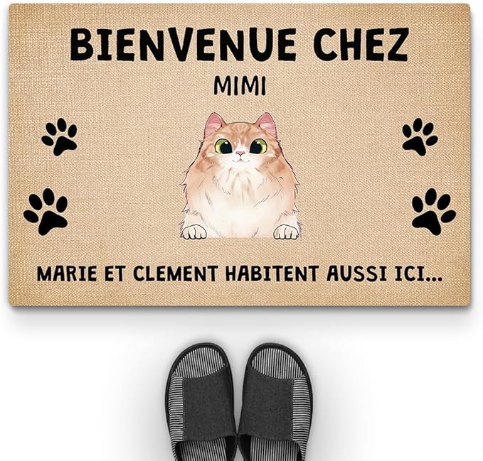 Paillasson personnalisé chat pour entrée Meilleure idée cadeau paillasson d'entrée personnalisé