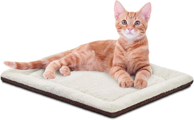 Tapis chauffant pour chat 53,3 X 43,2 cm Meilleure idée cadeau coussin chauffant pour animaux