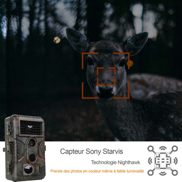 Pack x5 caméras Piège Photo HD Détecteur de Mouvement - A323 Vert foncé Meilleure Idée Cadeau BlazeVidéo caméras infrarouge