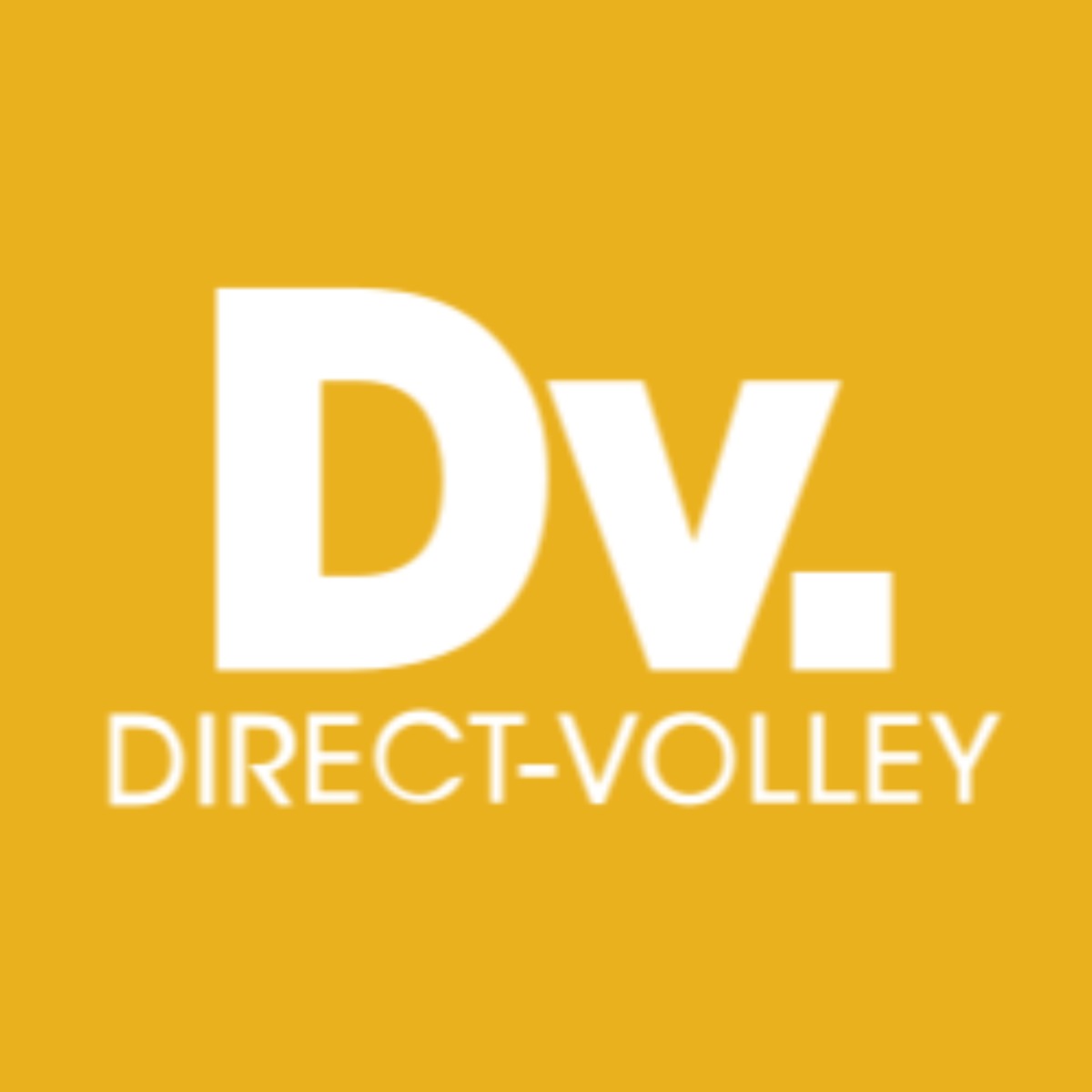 logo-direct-volley-fr-meilleure-idée-cadeau-ballon-de-voleyball