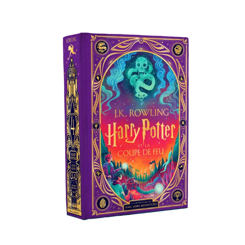 Harry Potter et la coupe de feu - livre illustré meilleure idée cadeau harry potter livre avec illustration