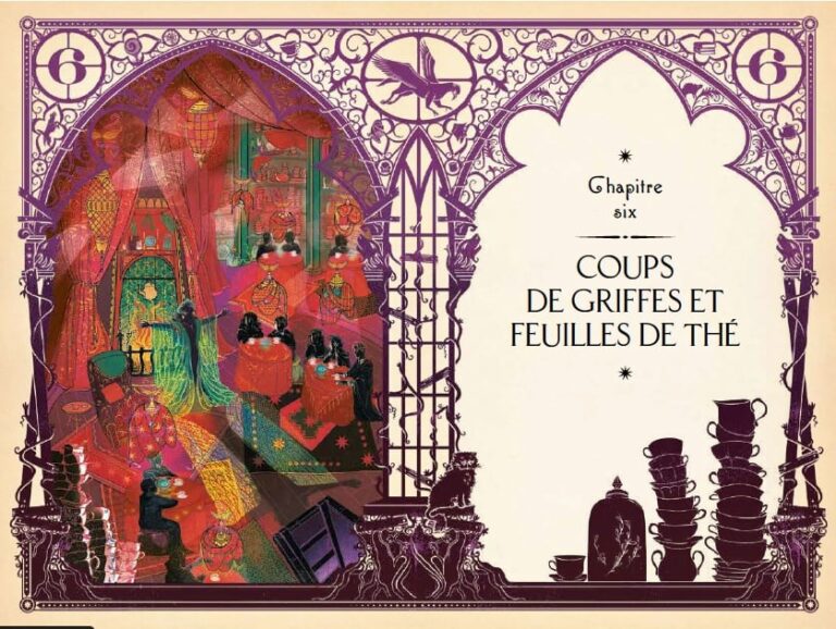 Harry Potter et le prisonnier d'Azkaban - livre illustré Meilleure idée cadeau albus dumbledor