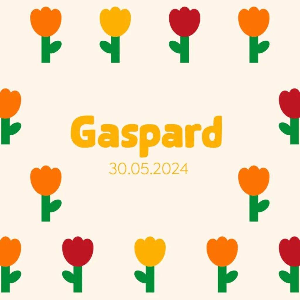 Faire part de naissance personnalisable aux motifs fleurs minimalistes meilleure idée cadeau future parents