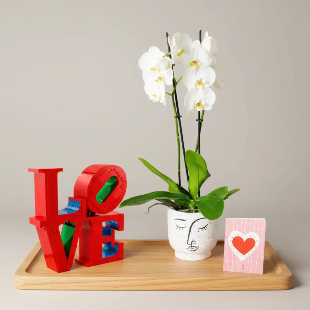 Coffret LEGO LOVE meilleure idée cadeau couple