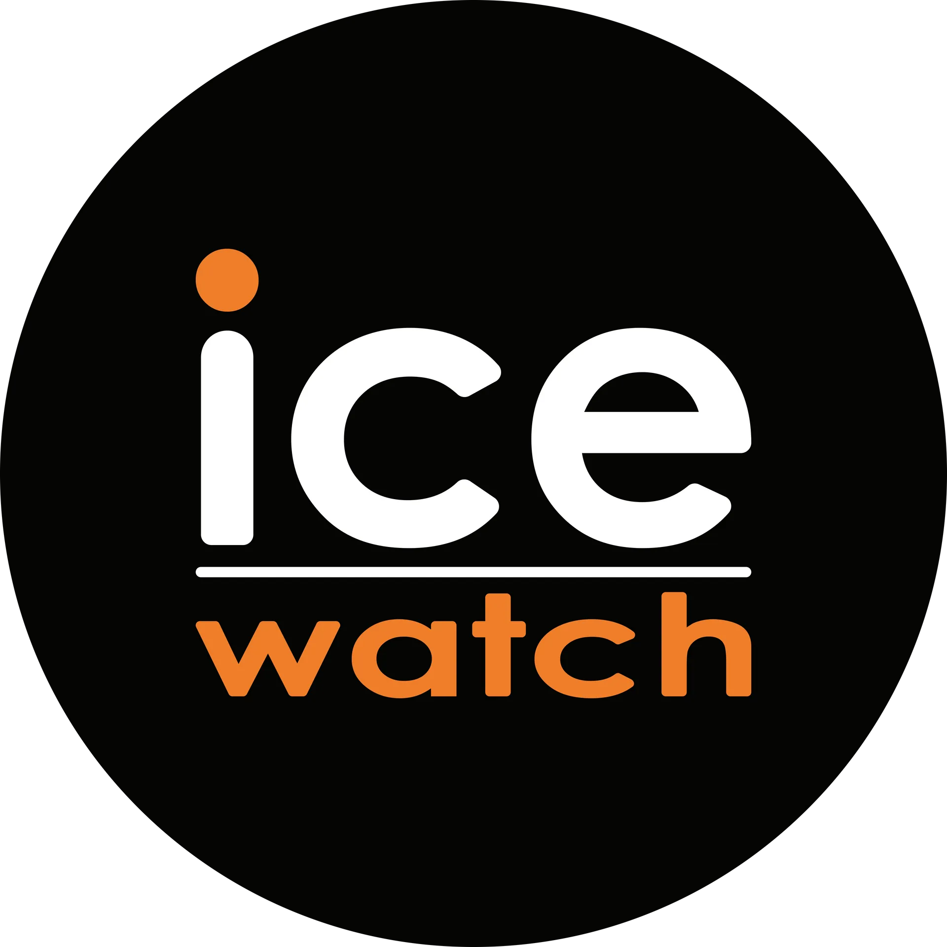ice watch idée cadeau montre coloré